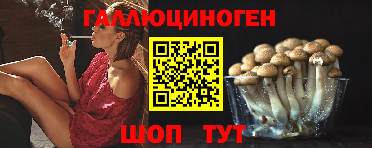 Галлюциногенные грибы Psilocybe Шали