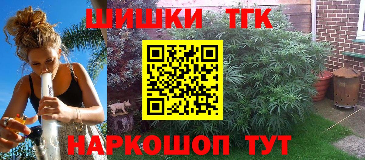 Конопля сатива Шали
